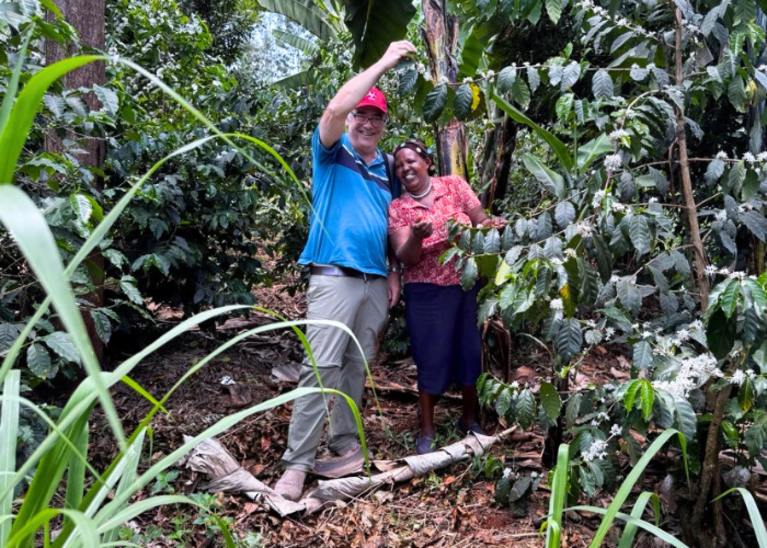 Testimonial of Donald Hilborn