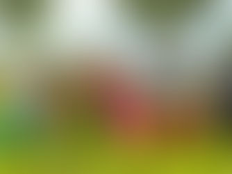 WUSC: From Forest Dependency to Financial Independence: Women Shaping a Sustainable Future